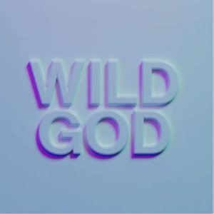 Wild God Nick Cave